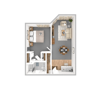 DSL_PSL_HAMP_1BR_BoxElder_545sqft_WEB