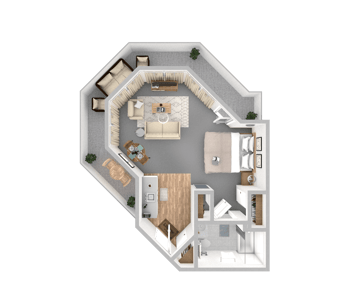 DSL_PSL_HAMP_Suite_Cottonwood_382-571sqft_WEB