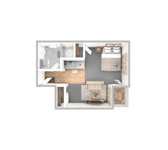 DSL_PSL_HAMP_Suite_Toyon_382-571sqft_WEB