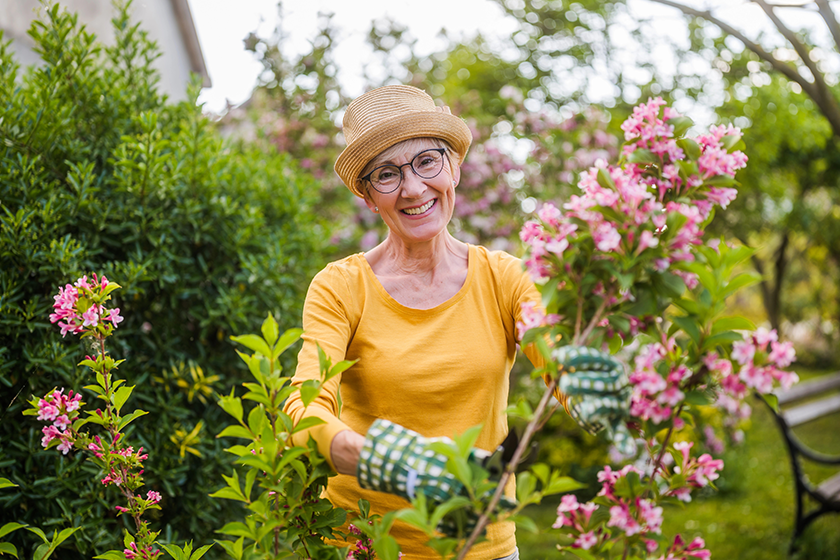 Portrait of happy senior woman gardening